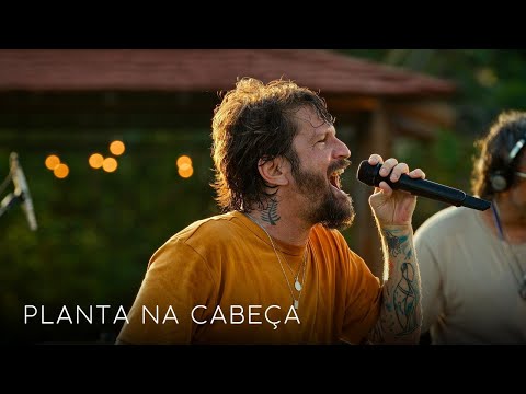 Planta Na Cabeça - Saulo Fernandes