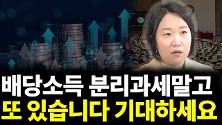 배당소득 분리과세 말고 또 있습니다 기대하세요.(ft. 이소영 의원 2부)