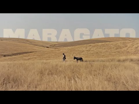 Maragato - Galandum Galundaina