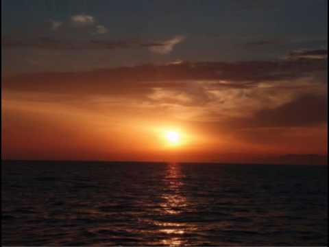 DADDY SPIEWA  -  SZUKAJ MNIE_-