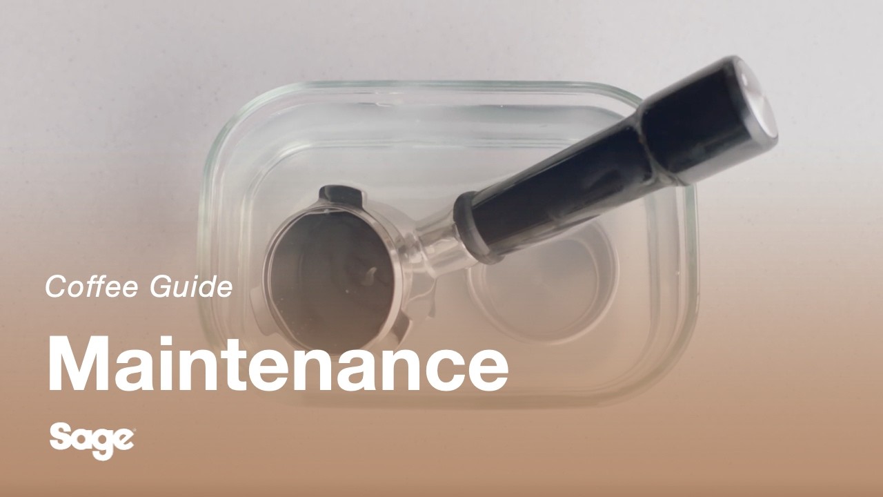 How to clean portafilter and filter basket