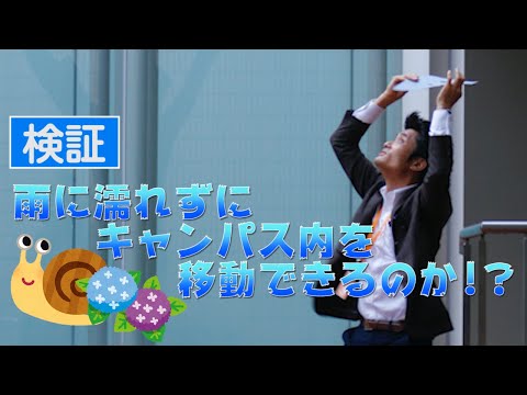 検証！！雨に濡れずにキャンパス内を移動できるのか！？　～キャンパス内で傘は必要か否か～