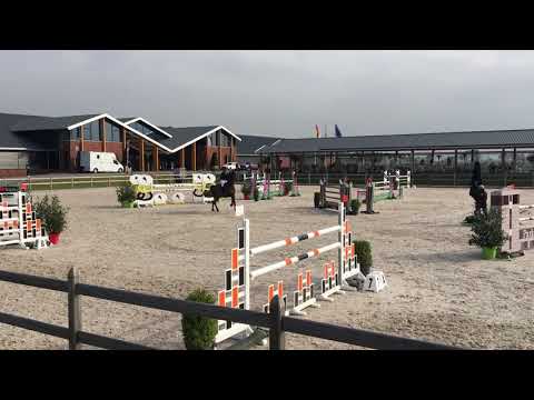 Vilma Catani & Quirinal (Quintero * Chagallo) 2006