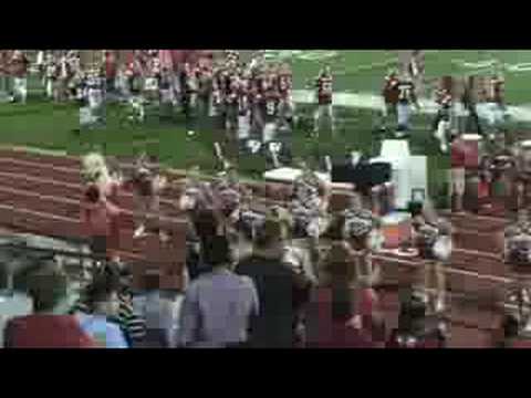 ricebirds-2008-08-29-088.mpg