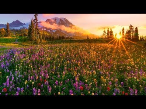 Richard Clayderman  - Dreams