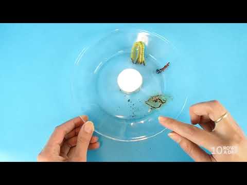 download lagu mp3 mp4 What Type Of Fiber Is Wool, download lagu What Type Of Fiber Is Wool gratis, unduh video klip What Type Of Fiber Is Wool