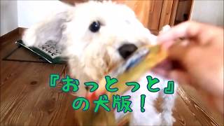 【バナナ＆りんご編】おっとっとは神おっとっとは神おっとっとは神おっとっとは神おっとっとは神おっとっとは神おっとっとは神おっとっとは神おっとっとは神おっとっとは神