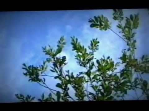 Cosa significa quando un mal di schiena con forza Ginnastica articolazioni della spalla