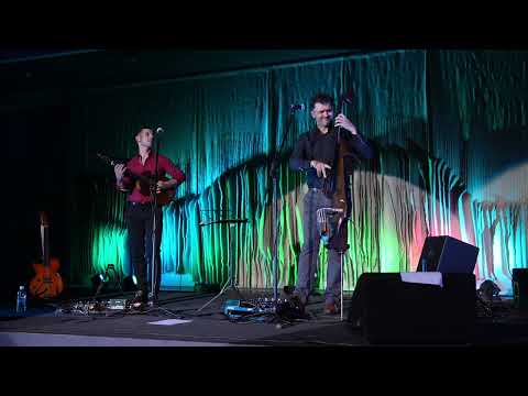 Grličica grkovala - HOJSAK & NOVOSEL Live at Split at Night Jazz Festival