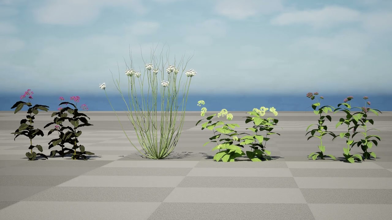 North American Milkweeds Vol 04 3D Model