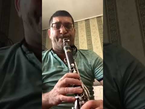 GÜNAYDIN SHEN    2025   SOFLAR HAVASI