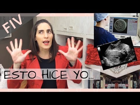 IVF + TRANSFER + What to do before and after an embryo transfer?