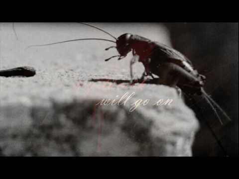 My tücsök will go on