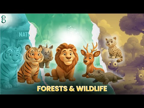 Forest and Wildlife Resources – Class 10 Geography video