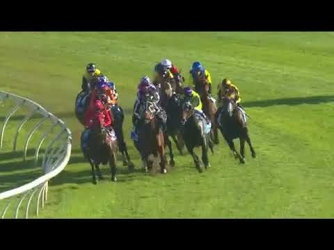 TJ Smith Stakes - 2018