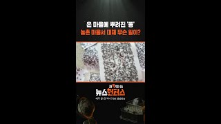 온 마을에 뿌려진 生 '똥' 농촌 마을서 대체 무슨 일이? #shorts