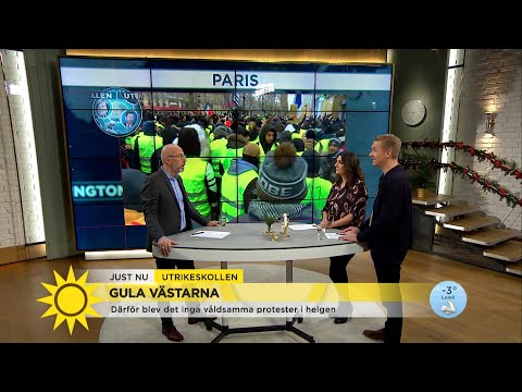"Gula västarna kommer fortsätta att demonstrera" - Nyhetsmorgon (TV4)