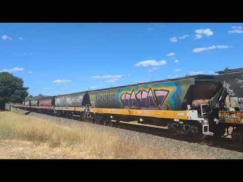 7737V PN empty grain train to Murtoa, 14.57, 9/3/24.