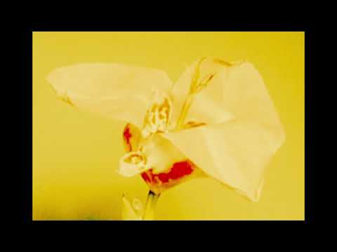 ITS HAB - Pressurah (Official Lyric Video)