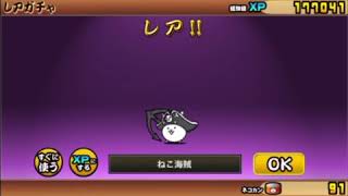 【奇跡】エバァコラボガチャ引いたらまさかの！？（にゃんこ大戦争】