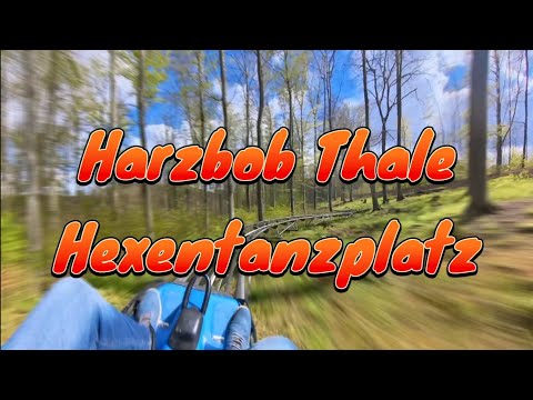 Im Bob durch den Wald - Klassenfahrt mit Harzbob am Hexentanzplatz Thale