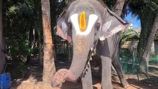 Temple video