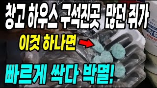 창고 하우스 구석진곳 많던 쥐가 이것 하나면 빠르게 싹다 박멸! 쥐퇴치 강력한 쥐약!