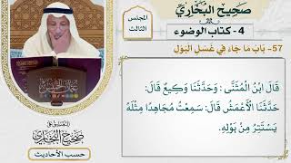 [218] حديث: مر النبي ﷺ بقبرين [كتاب الوضوء - باب ما جاء في غسل البول] - عثمان الخميس