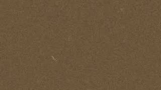 Tudo ou nada (Fernando César) Francisco Scarambone (piano e órgão) 1958 Samba-canção