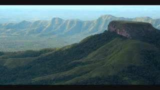 The Dodos "Darkness"