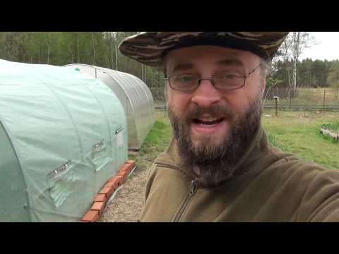 Ogrodowe pierdamony 52 - podlewanie rzadko i nie obficie