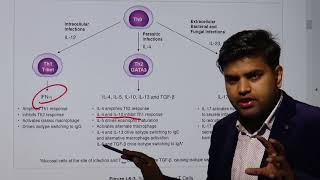 Download Lagu T cell activation u0026 fate depends on pathogen nature-Immunology Kaplan USMLE Microbiology Chapter 6b1 Thumbnail