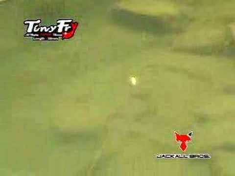 Tiny Fry HL Bora Suspending