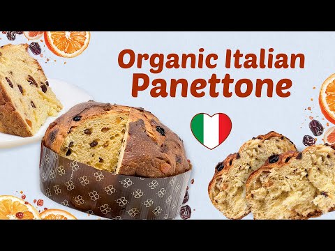 Why Our Organic Italian Panettone Is the Perfect Holiday Treat ✨