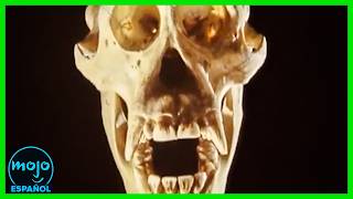 Thumbnail del capítulo