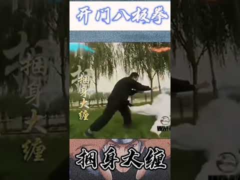 Bajiquan’s LETHAL Arm Break: Master LiDEMOS Yīshēn Dà Chán八極拳の極意-挟身大纏：李師範が実演解説 #kungfu #中國功夫