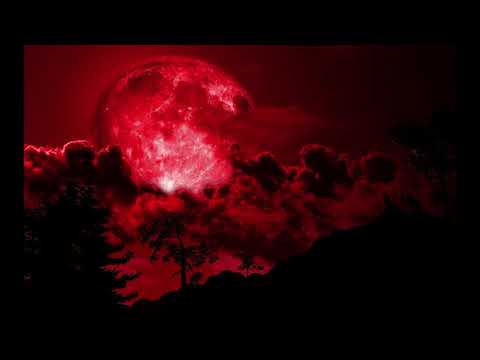 Paperkraft - Living [HZRX] Full Version