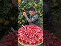 China Fruits Is So Delicious Rare Fruits Shorts