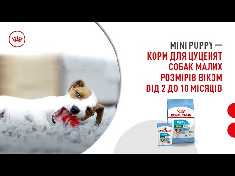 Корм для цуценят ROYAL CANIN Mini Puppy — огляд