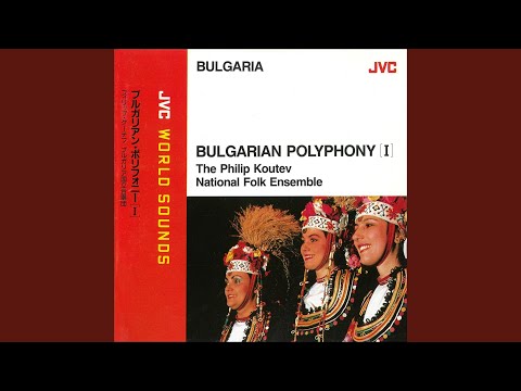 マルカ　モマ　ドヴォリメテ (Live at 東京簡易保険ホール 1988/12/23)