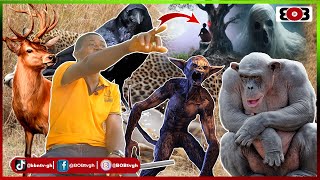 Download lagu Hunter encounter Ghost after he saw an old woman sited on a chair under a big Ageto tree at midnight mp3 Download lagu Hunter encounter Ghost after he saw an old woman sited on a chair under a big Ageto tree at midnight mp3