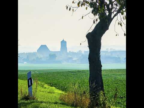 Gartz wählt AfD - und einen jungen Windkraft-Bürgermeister - Luca Piwodda (Gartz)