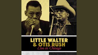 Lovin&#39; You All the Time