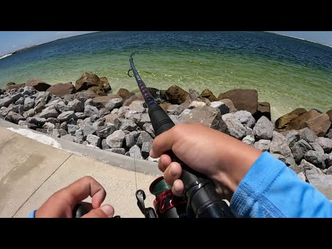 Fishing ULTRA clear water with BIG baits for whatever bites (Destin Florida)
