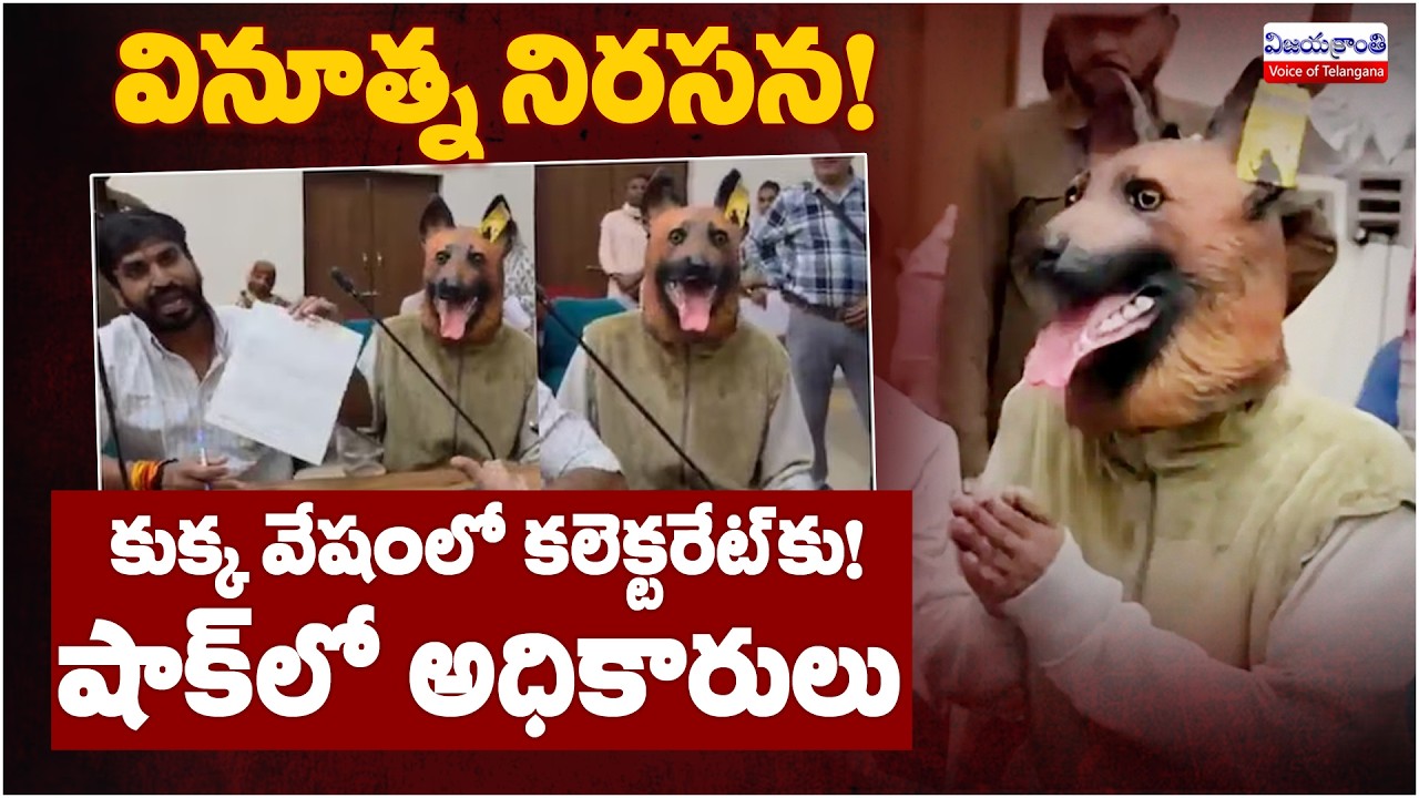 వింత నిరసన!! | Man Dresses as Dog to Protest Stray Dog Menace in Collectorate | VijayaKranthi News