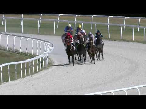 2018.08.12. 04. futam - BARACSKAI HENDIKEP (II.o.) (szintetikus pálya)