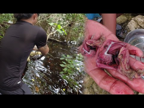 SE02EP033 Part 1 - PARAAN at PAG PAIN sa MUD CRABS | Isla Grande, Pabilao Quezon