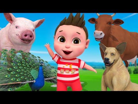 Canción del Baile de los Animales | Canción de Granja | Thiago En Español - Canciones infantiles