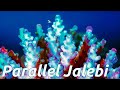 Four Tet - Parallel Jalebi (Music Video) HD