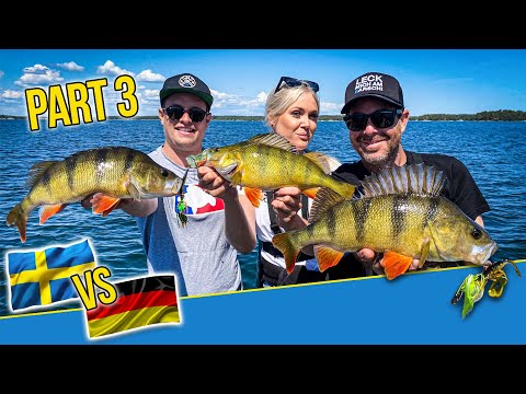 Tyskerne imod svenskerne